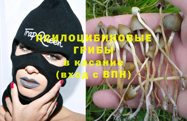 Альфа ПВП Алексин